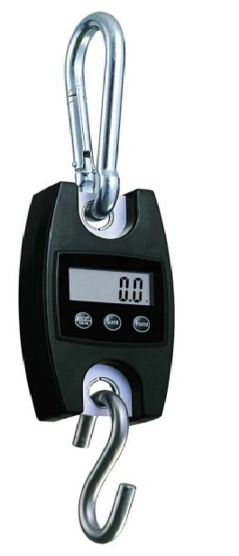 PH200 PESOLA Hanging scale 200kg